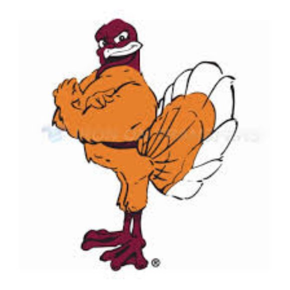 Virginia Tech Hokies Squeaker Sneaker (Toddler) 👞 - Picture 11 of 16